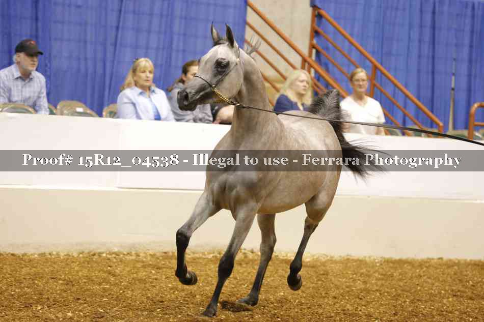 Proof 15R12_04538