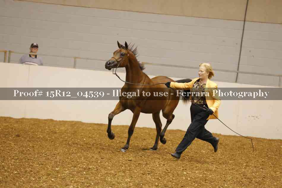 Proof 15R12_04539
