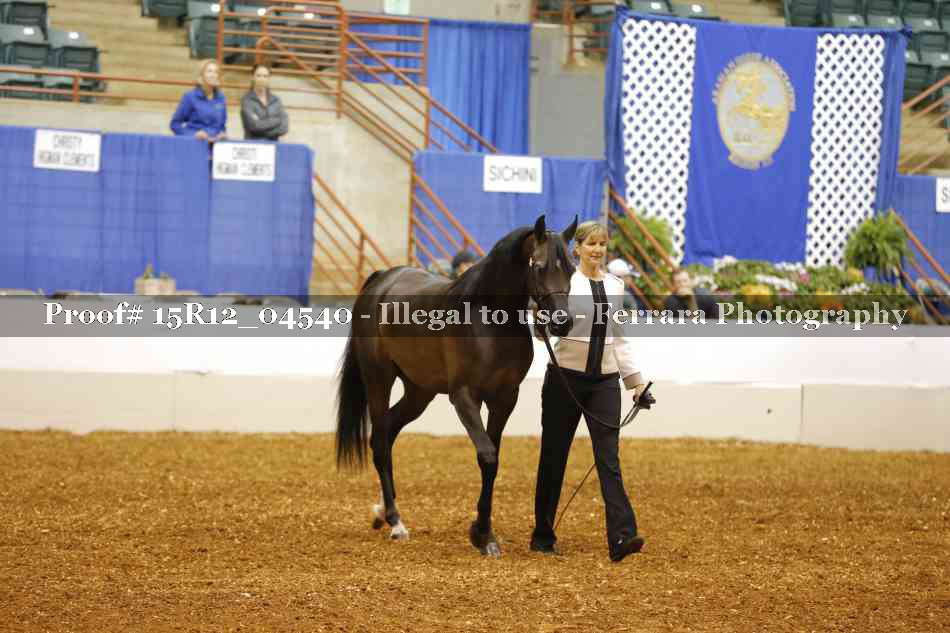 Proof 15R12_04540