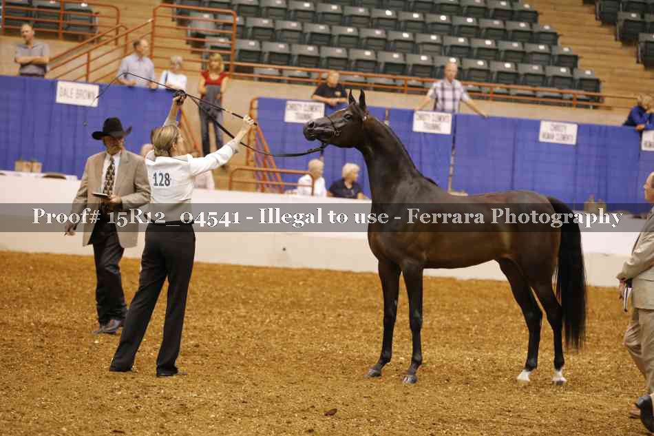 Proof 15R12_04541