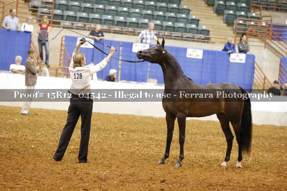 Proof 15R12_04542