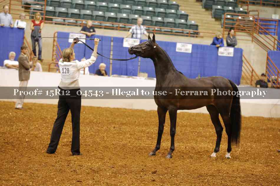 Proof 15R12_04543