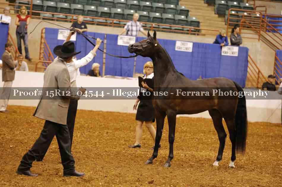 Proof 15R12_04544