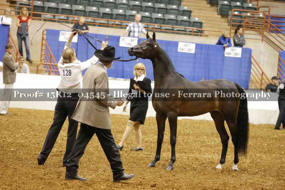 Proof 15R12_04545