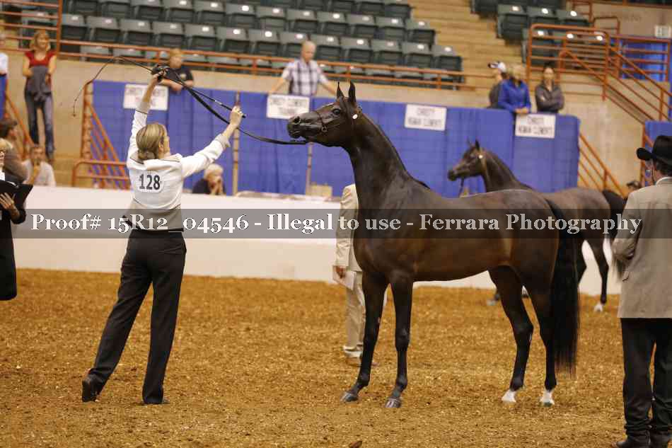 Proof 15R12_04546