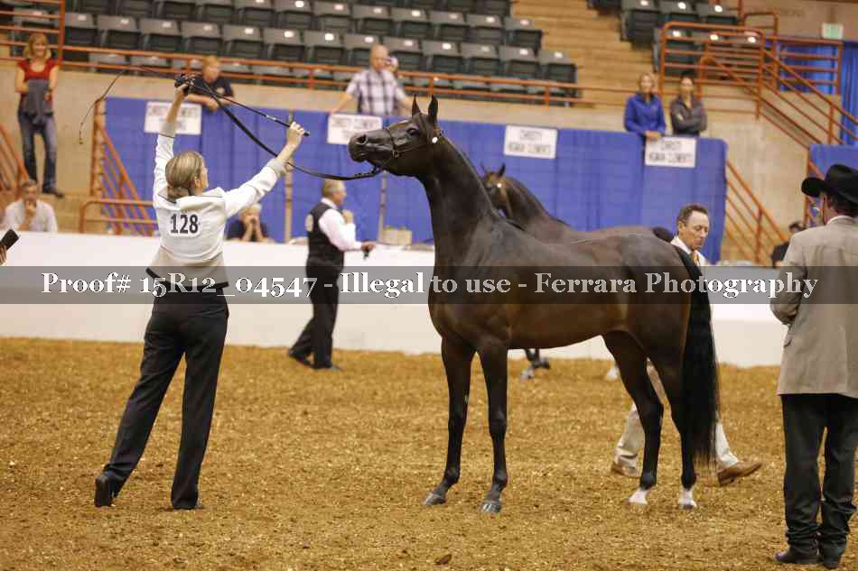 Proof 15R12_04547