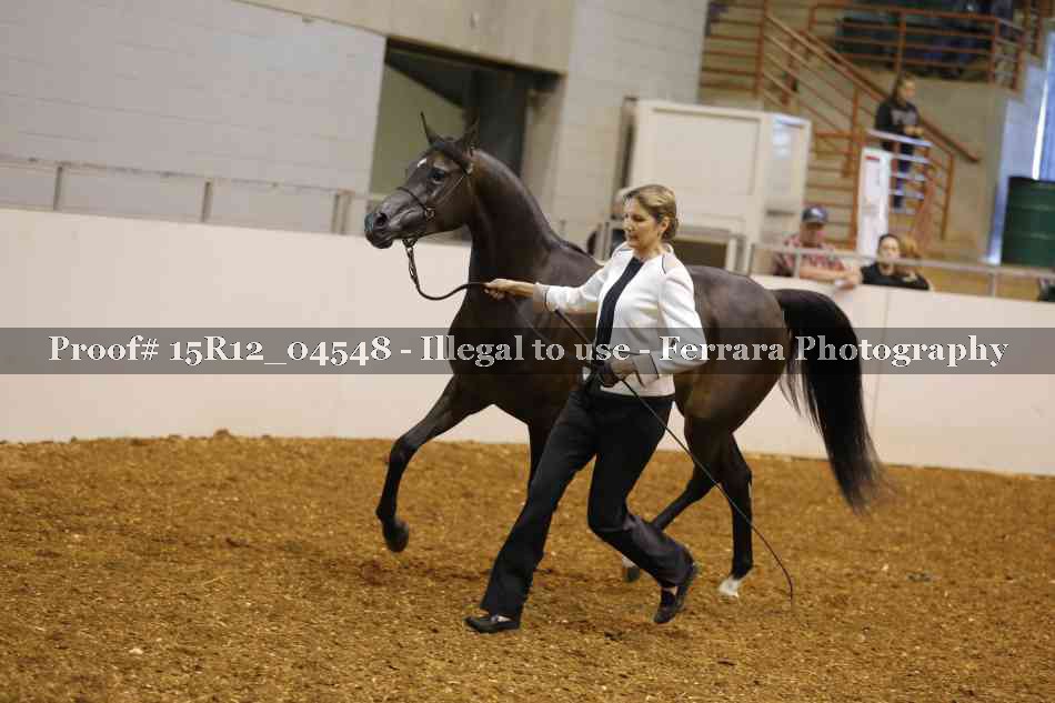 Proof 15R12_04548