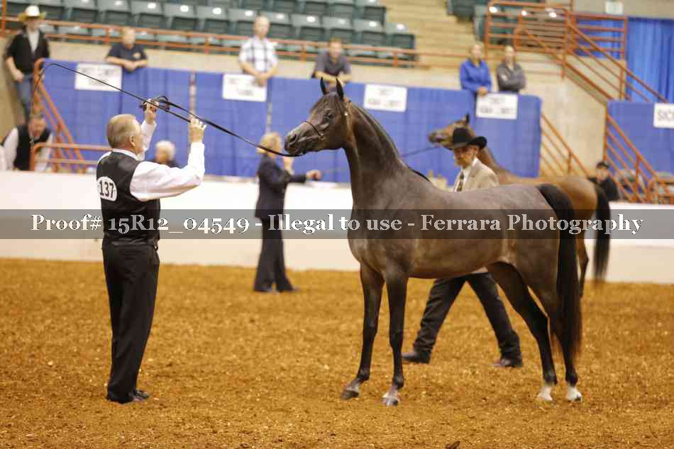 Proof 15R12_04549