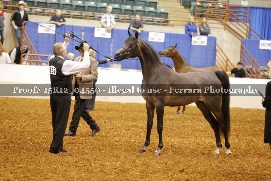 Proof 15R12_04550