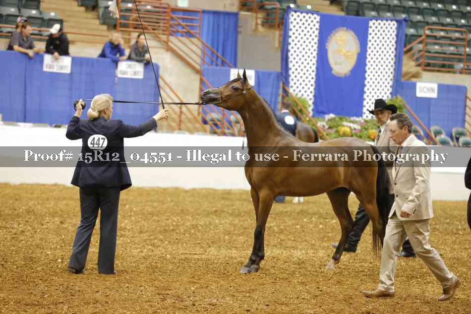 Proof 15R12_04551
