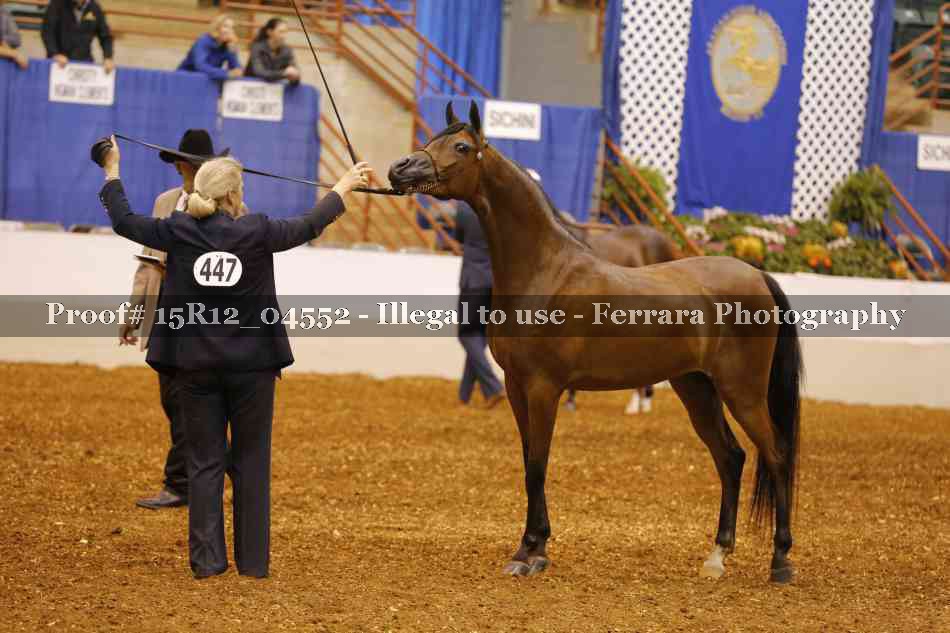 Proof 15R12_04552