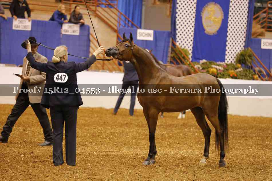 Proof 15R12_04553