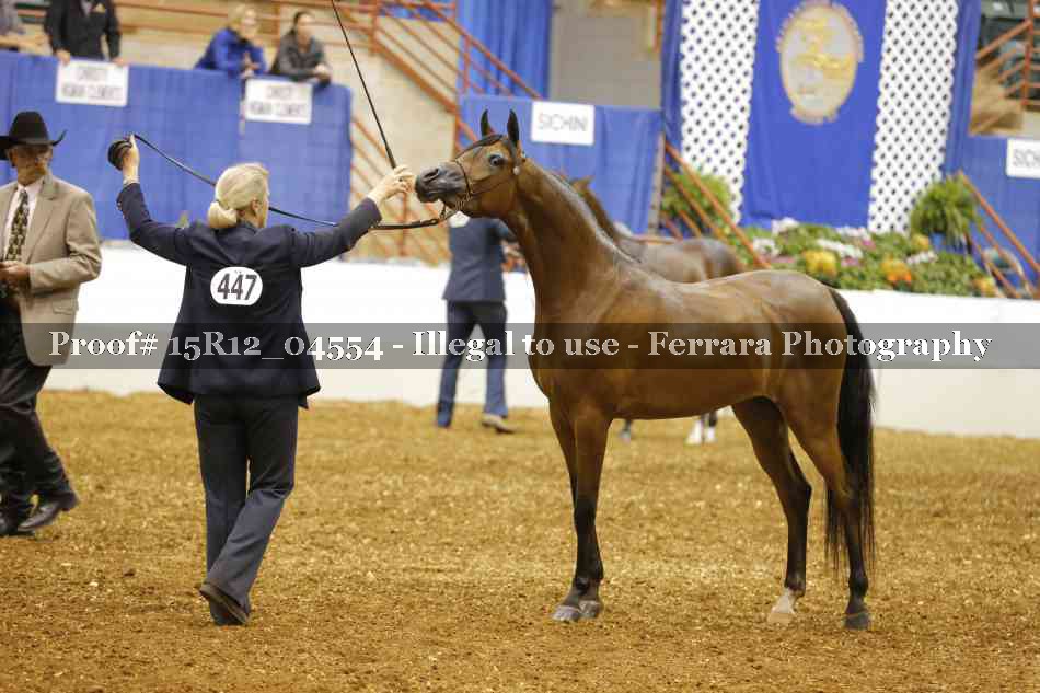 Proof 15R12_04554