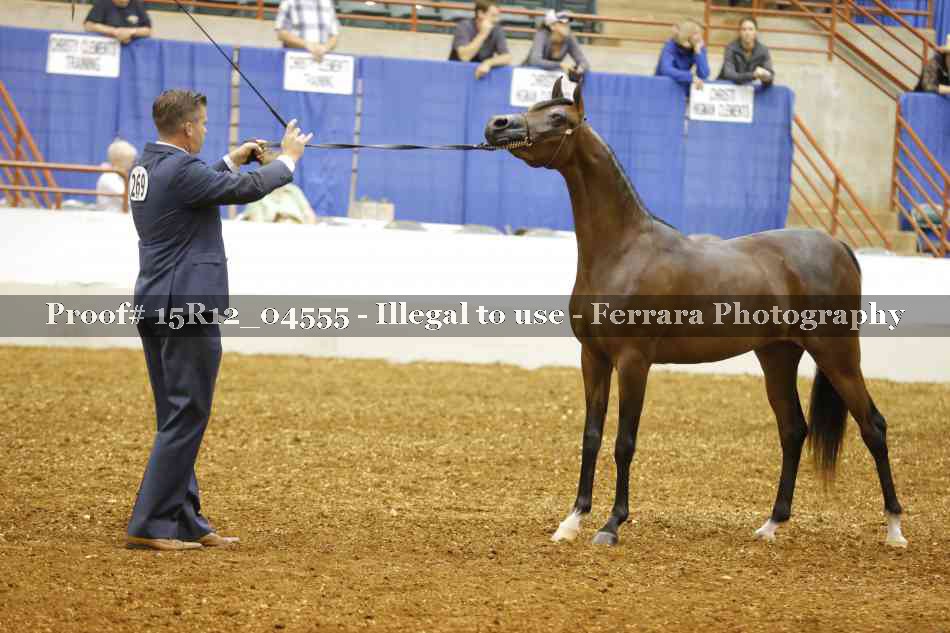 Proof 15R12_04555