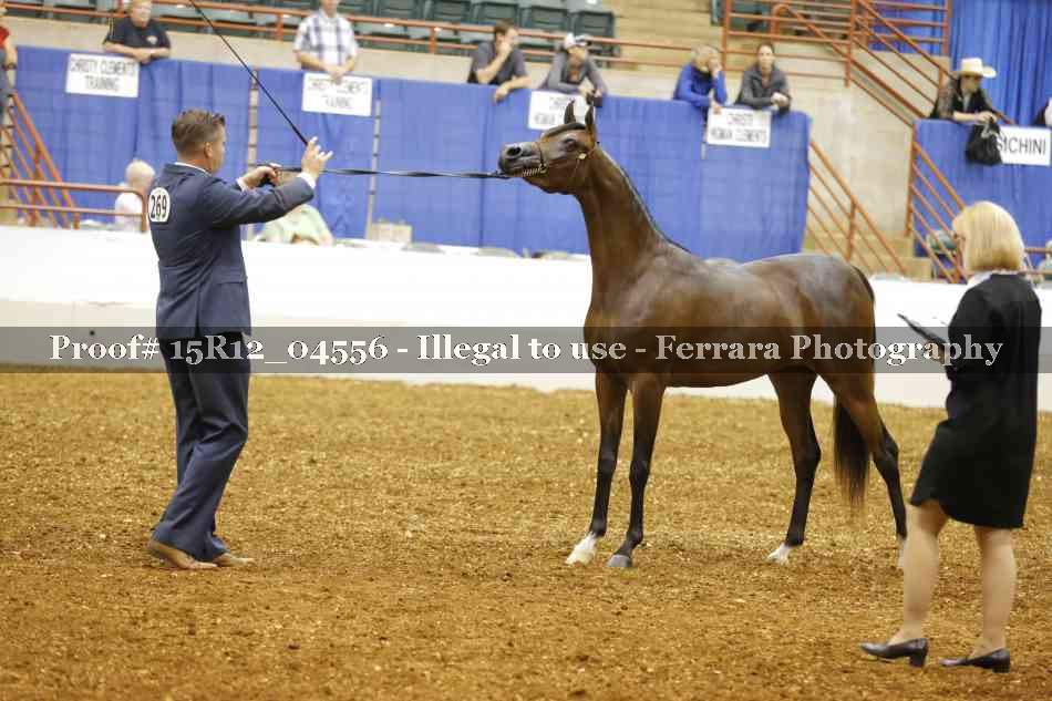 Proof 15R12_04556