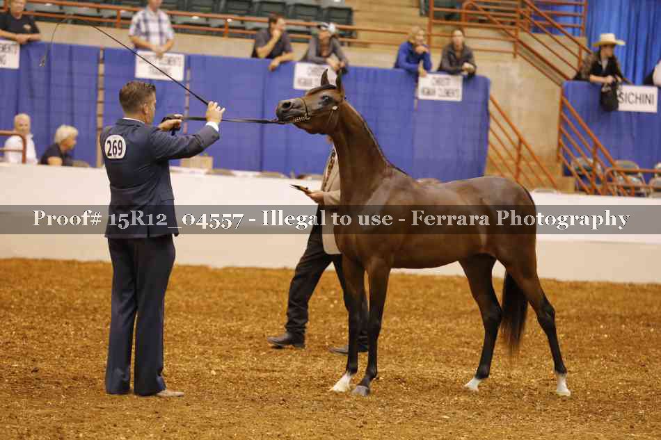 Proof 15R12_04557