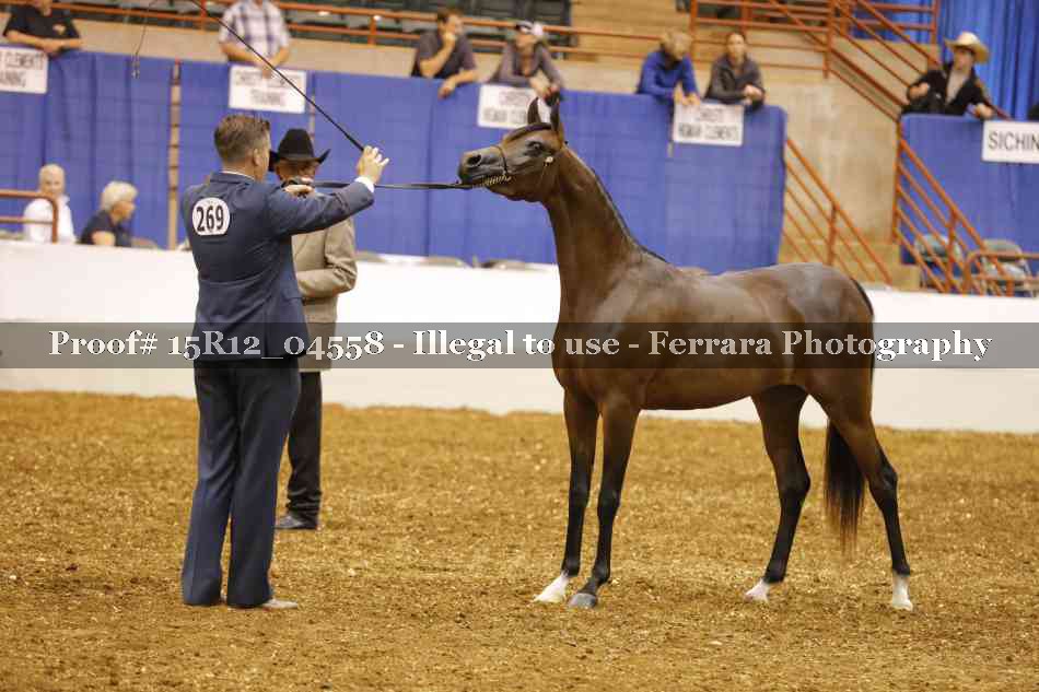 Proof 15R12_04558