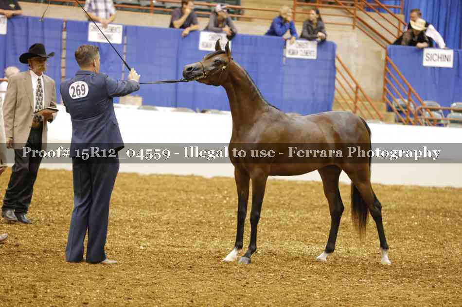 Proof 15R12_04559
