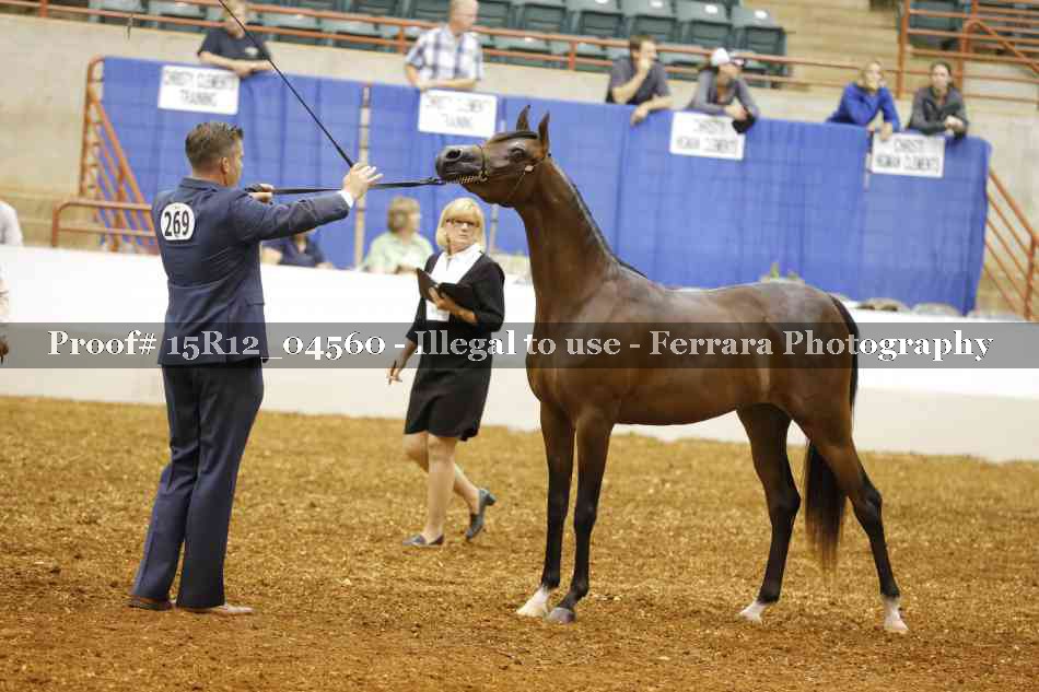 Proof 15R12_04560
