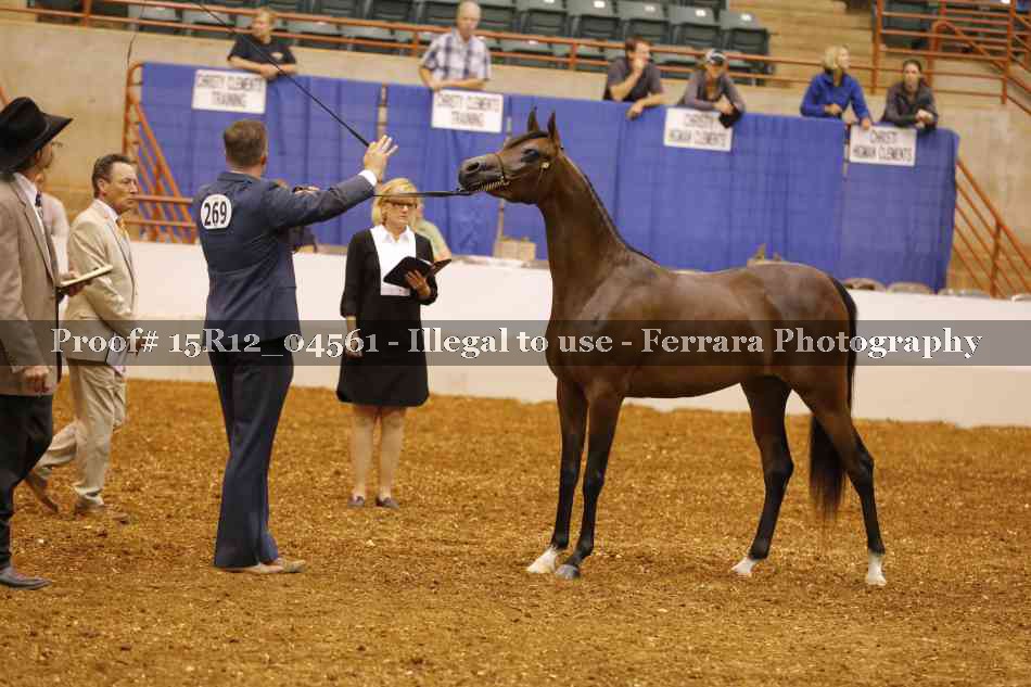 Proof 15R12_04561