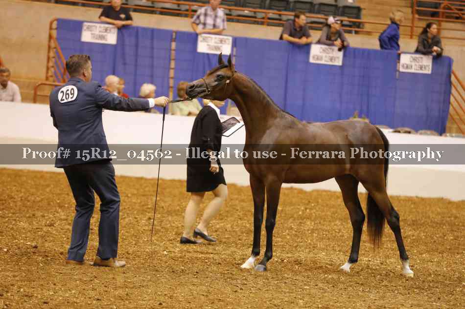 Proof 15R12_04562