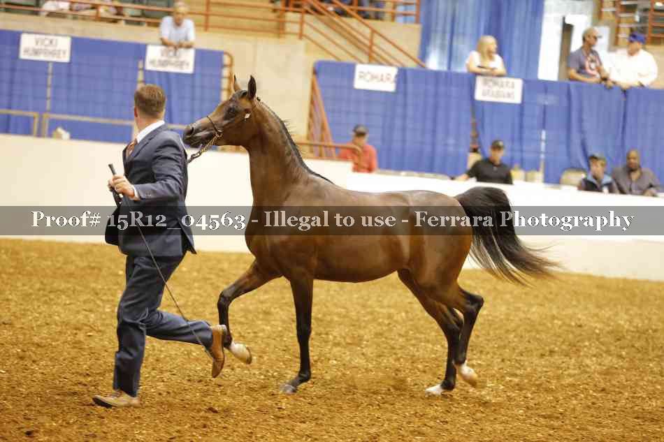 Proof 15R12_04563