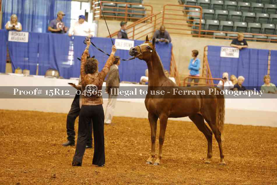 Proof 15R12_04565
