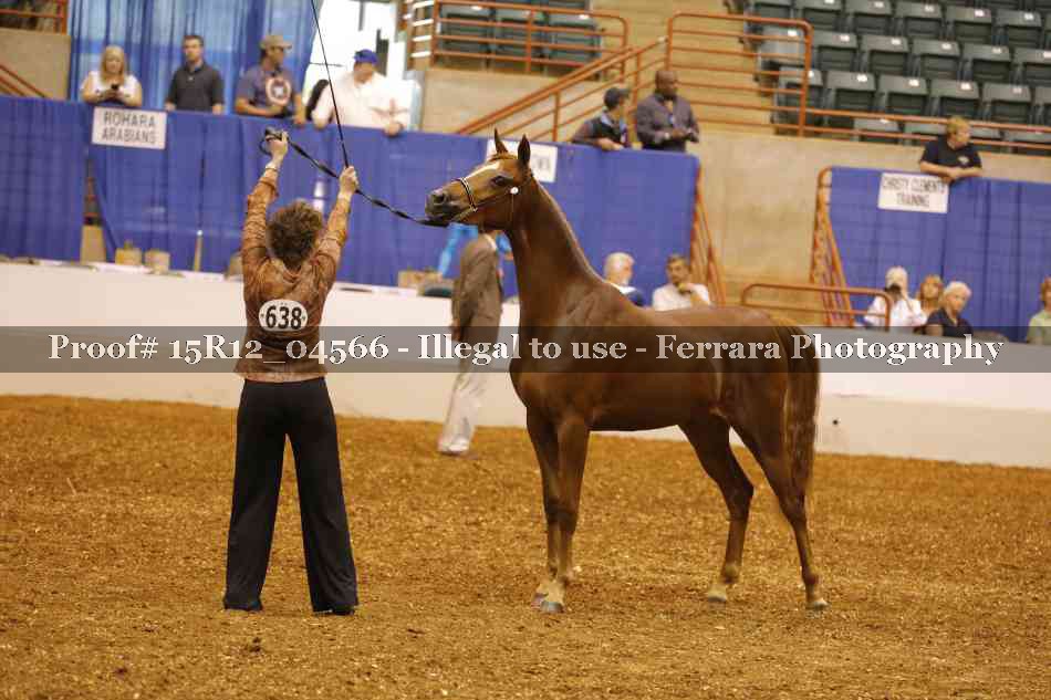 Proof 15R12_04566