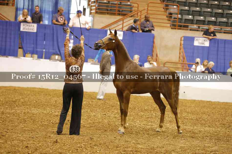 Proof 15R12_04567