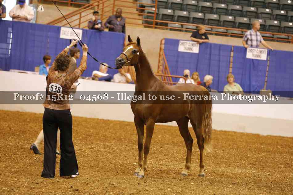 Proof 15R12_04568