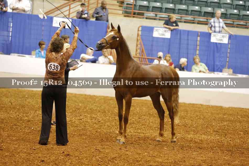Proof 15R12_04569