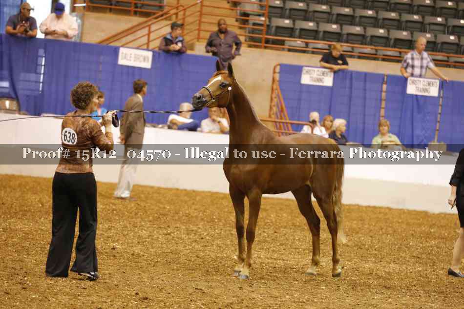 Proof 15R12_04570