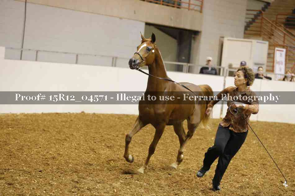 Proof 15R12_04571