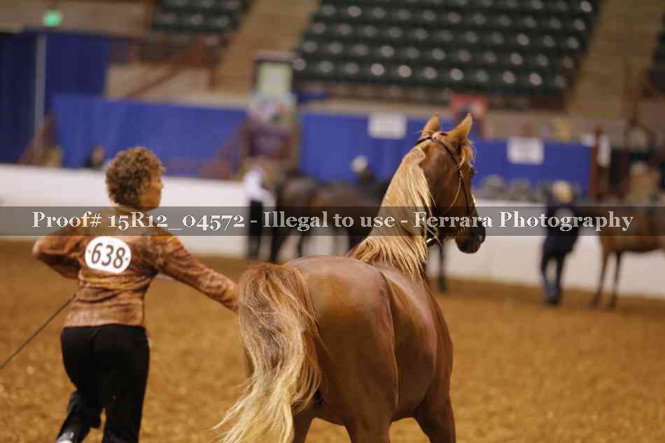 Proof 15R12_04572