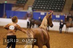 15R12_04572 proof