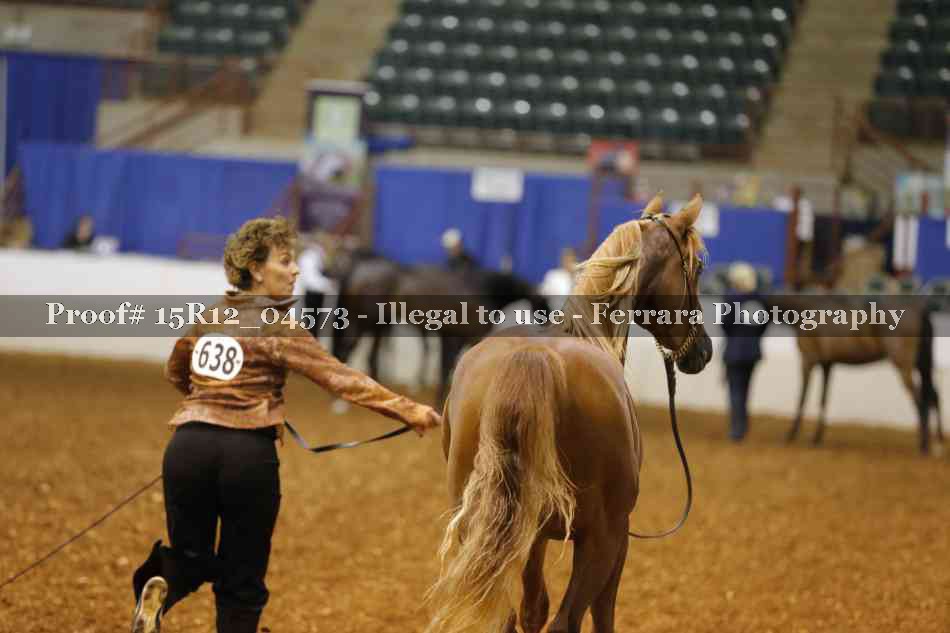 Proof 15R12_04573
