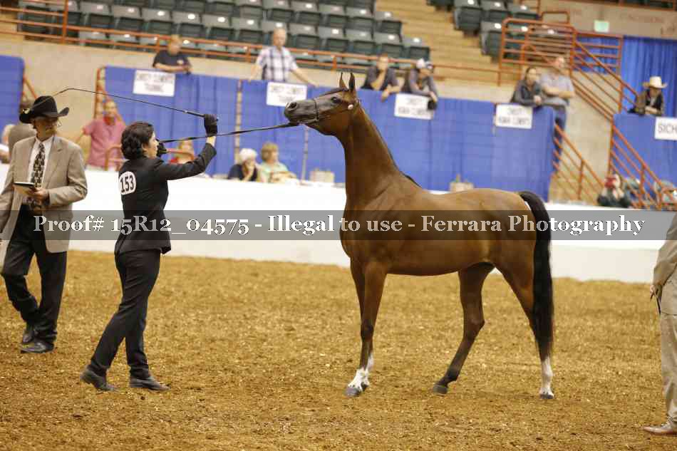 Proof 15R12_04575