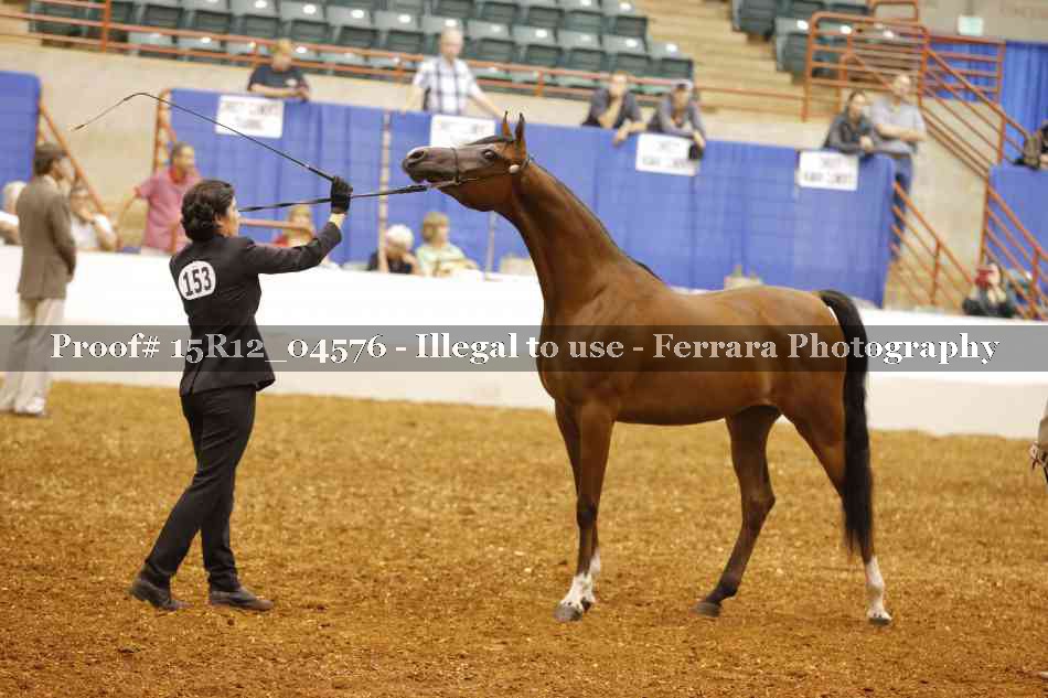Proof 15R12_04576