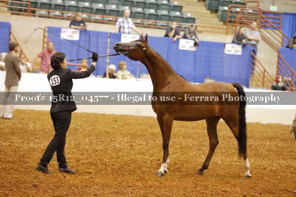 Proof 15R12_04577