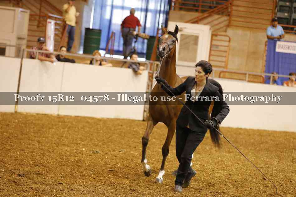 Proof 15R12_04578