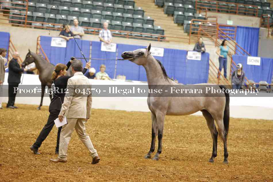 Proof 15R12_04579