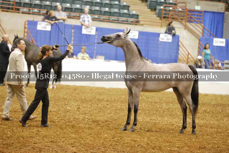 Proof 15R12_04580