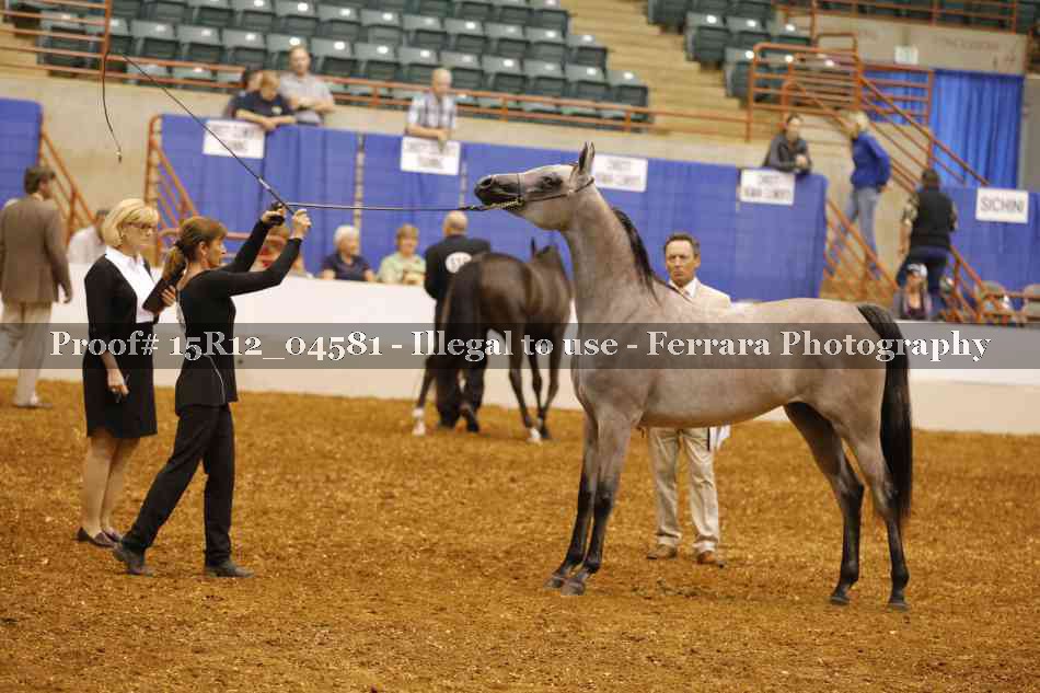 Proof 15R12_04581