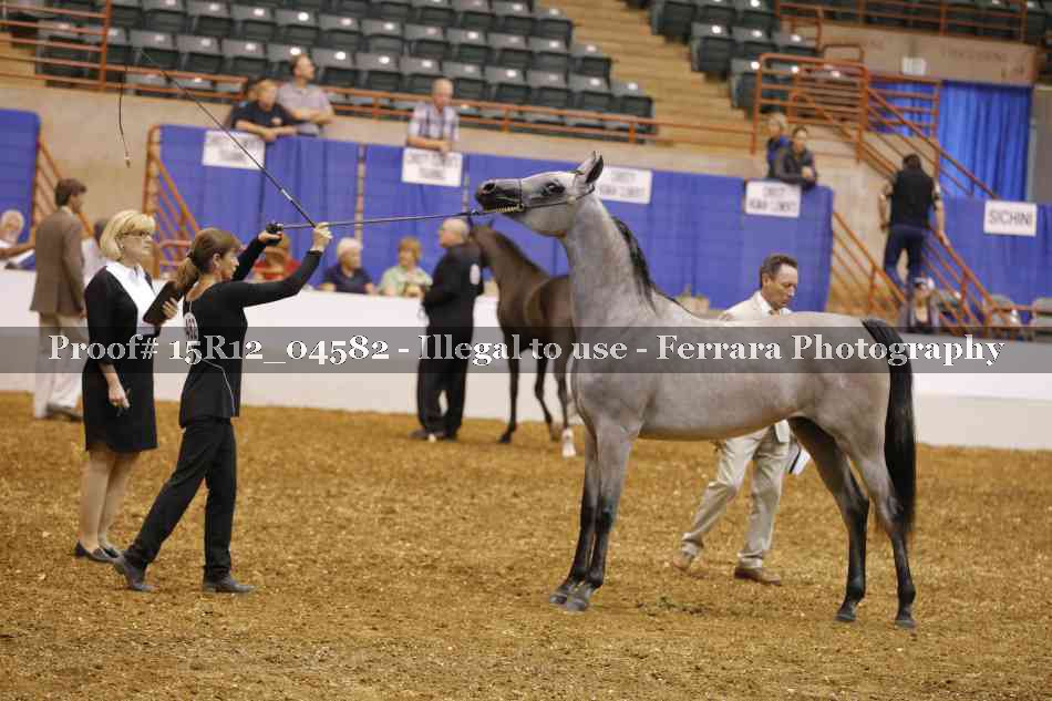 Proof 15R12_04582