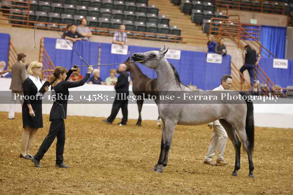 Proof 15R12_04583