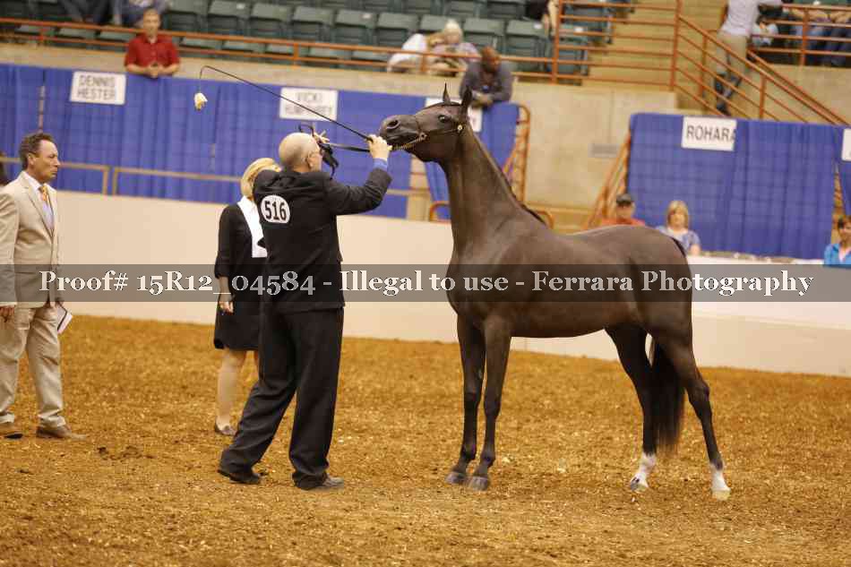 Proof 15R12_04584