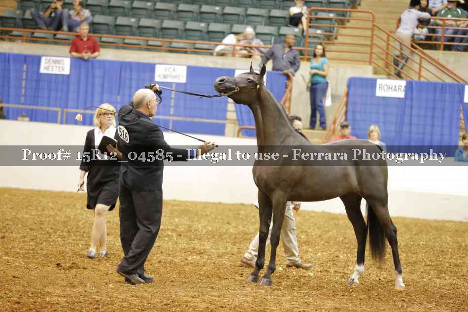 Proof 15R12_04585