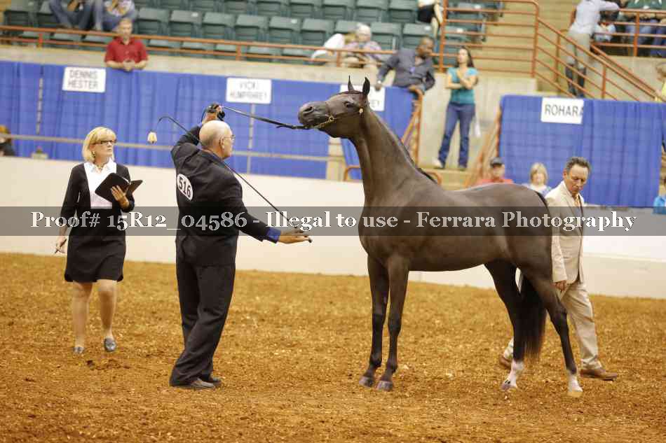 Proof 15R12_04586