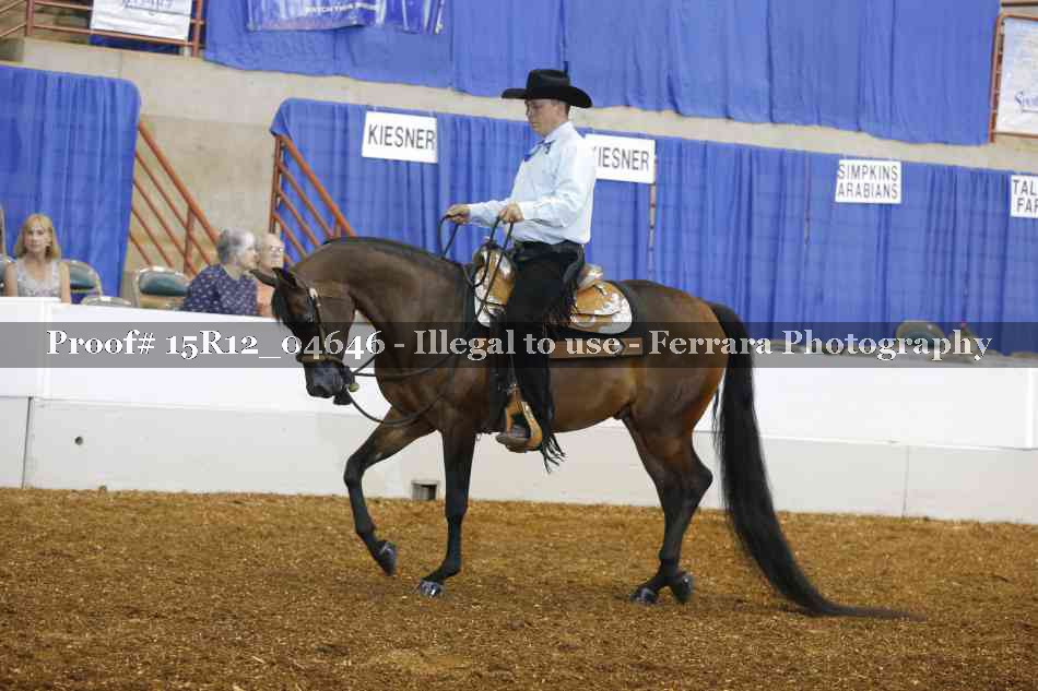 Proof 15R12_04646