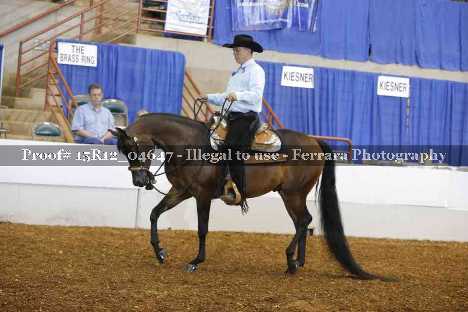 Proof 15R12_04647